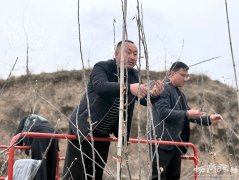 还能削减农和人员接触农药的风险